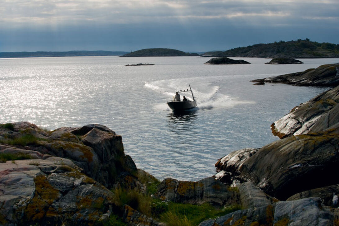 Kosterhavet – Sveriges første marine nationalpark!