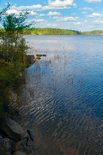 Fem skønne søer – ferske dyk i Sverige