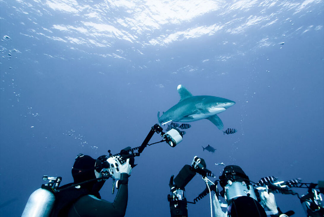 Fotonørder på førsteklasse - 26 undervandsfotografer på samme båd 