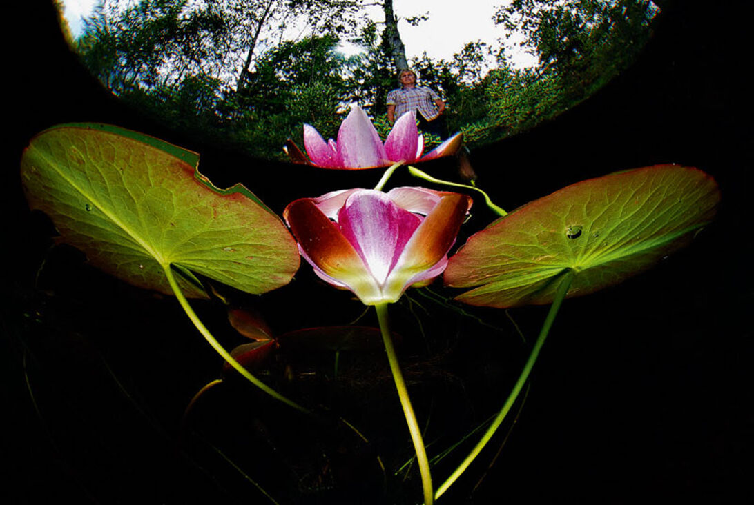 Fredrik Ehrenström – åkandernes mester Fredrik Ehrenström – åkandernes mester