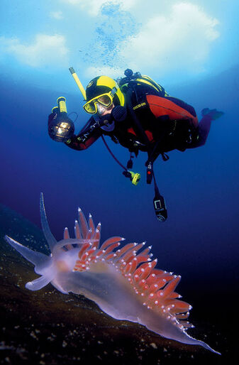 Fredrik Ehrenström – åkandernes mester Fredrik Ehrenström – åkandernes mester
