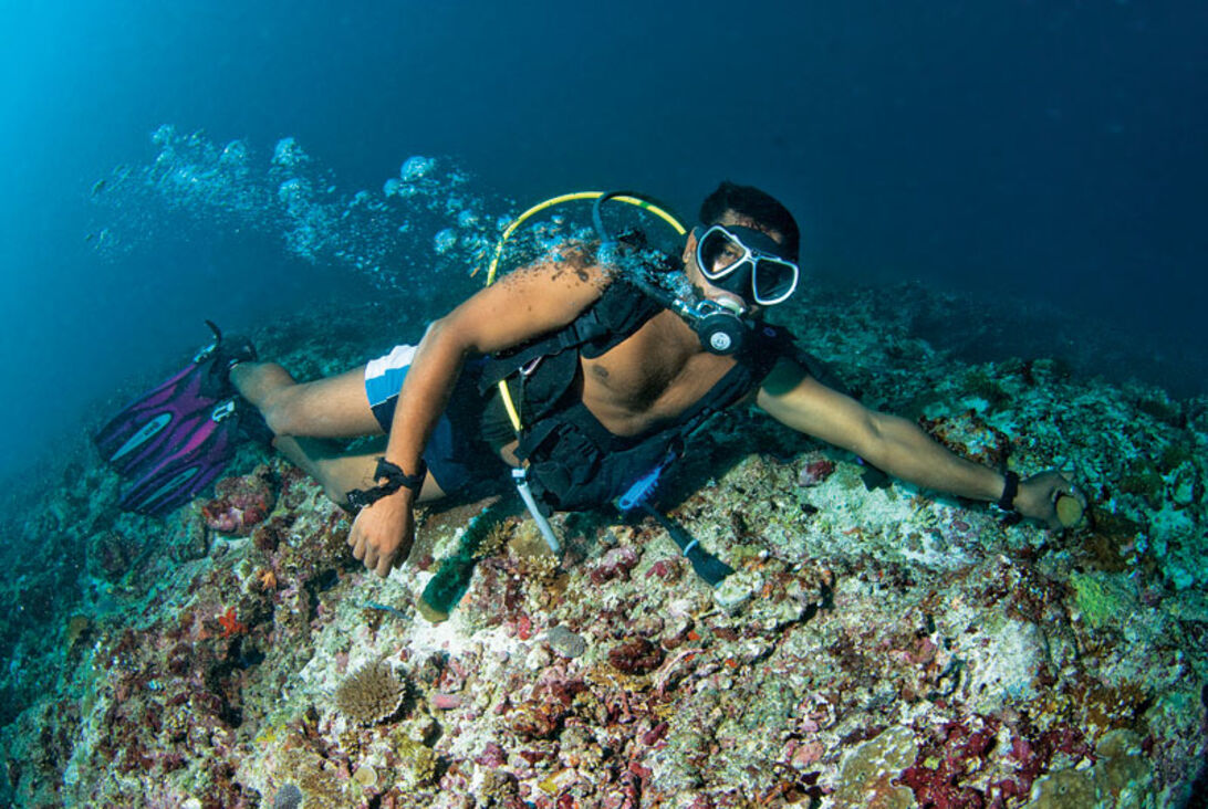 Dykning i flødeskum - luksus på maldiverne