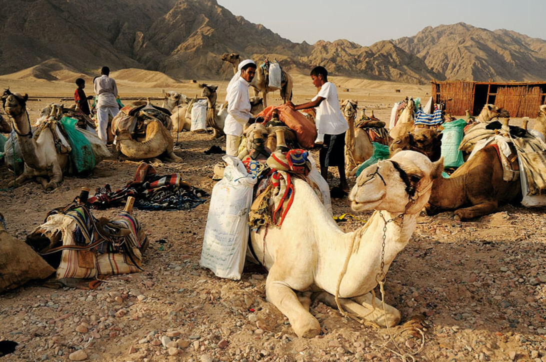 Dahab – En oase på Sinai
