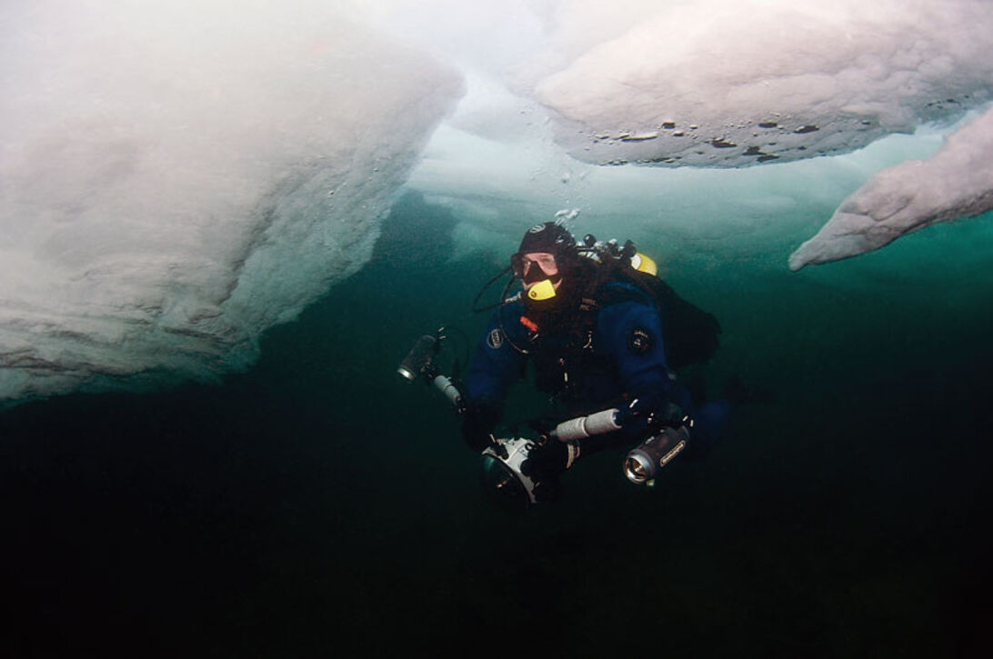 Isdyk i havet - En arktisk oplevelse