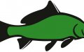 WWF-klumme – hva’ for en fisk?