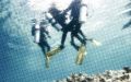 Toppræstationer – idrætspsykologi møder dykning 