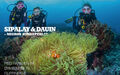 Sipalay & Dauin – Negros dykkeperler