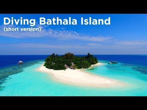 Dykning ved Bathala Maaga Kanthila. Video: Divetobealive