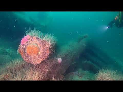 SCAPA FLOW SMS Karlsrule Wreck Dive - Scapa Flow - 17 May 2021 Video:  Newton Stewart Divers