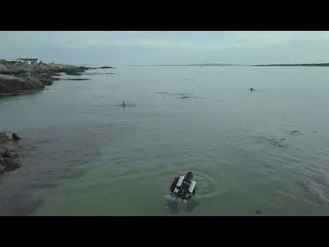 Kort video fra dykkerejsen till Carraroe på Irland.  Video: Torbjörn Gylleus
