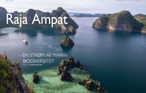 Raja Ampat – en strøm af marin biodiversitet 