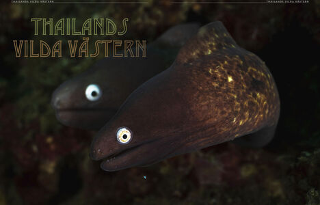 Kærligt par Kærligt par