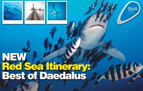 Ny blue o two rute i Rødehavet: Best of Daedalus