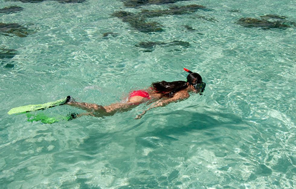 Colona Divers søger snorkelguide