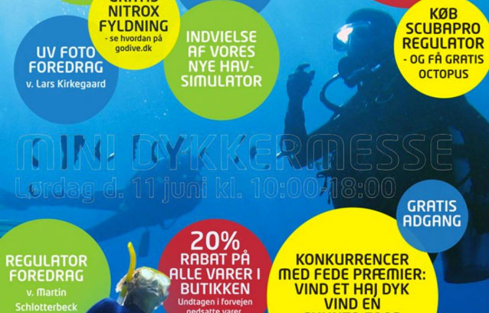 Mini dykkermesse i Aarhus V