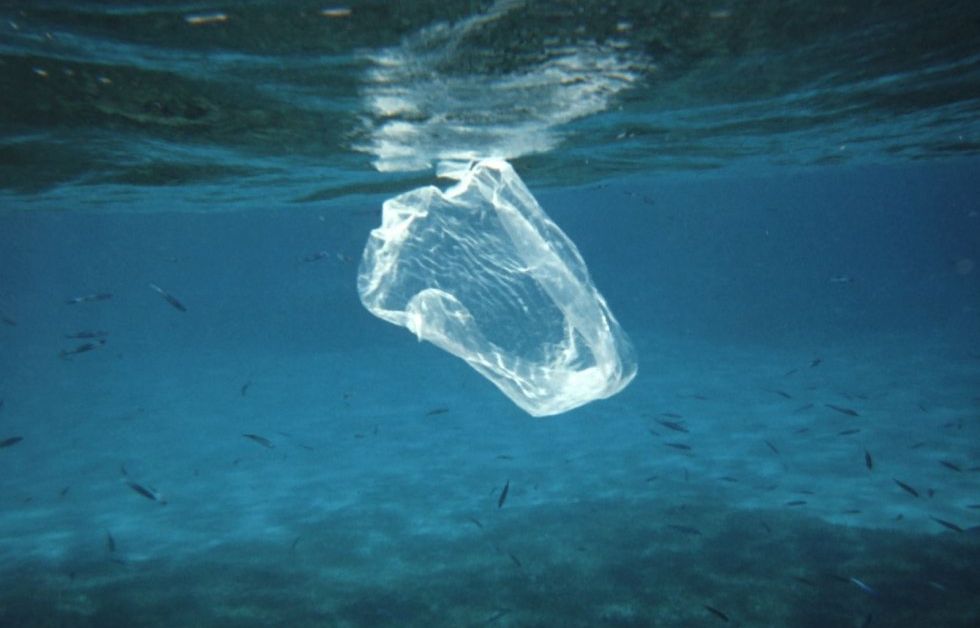 Plastikpose der flyder i havet