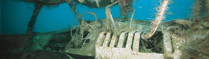 De Kanariske - rundt på 15 dage