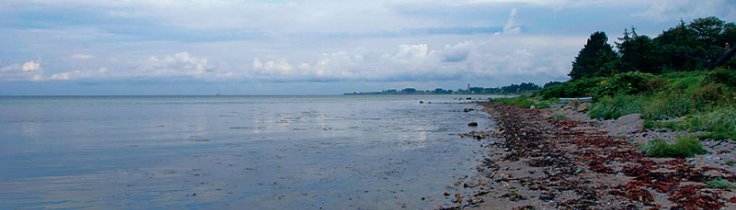 Kystleksikon #38 – Strandskoven Samsø