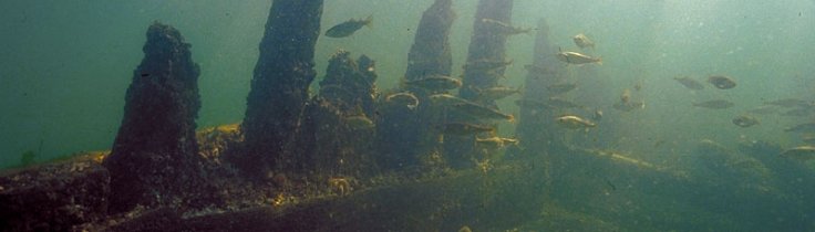 Kystleksikon #51 Skagen Nordstrand – Nordjylland