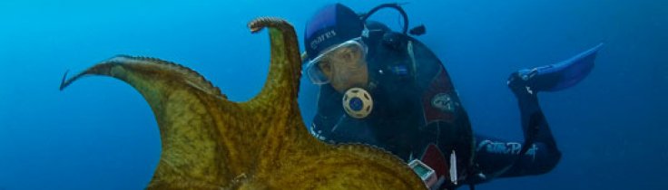 Kroatien – Middelhavets smukkeste skærgård