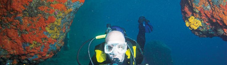 13 gode råd – sådan vedligeholder du dit kamera