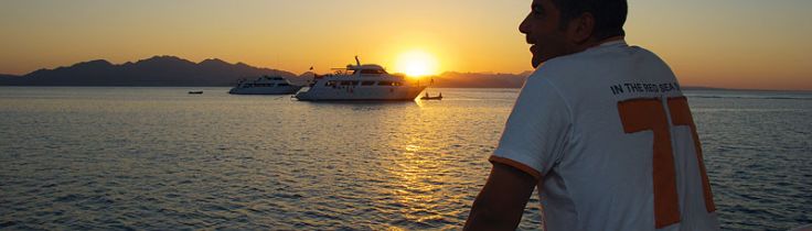 Livet på en liveaboard – en introduktion til safari på havet