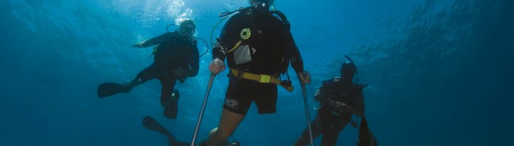 Frihed er at dykke – livsbekræftende billedstory