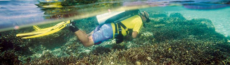 Vakre vande – guide til Thailands bedste dyk 