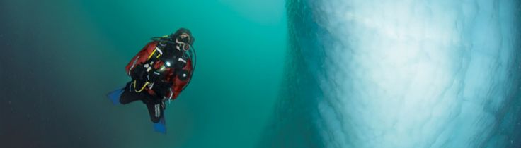 Newfoundland – blandt canadiske isbjerge og vrag
