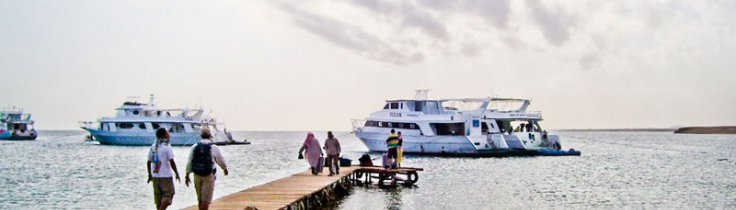 Marsa Alam – CDWS præsenterer: Rødehavet fra nord til syd Marsa Alam – CDWS præsenterer: Rødehavet fra nord til syd