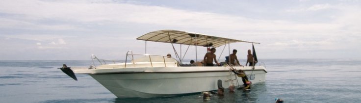 Velkommen til Bali – revgartnernes rige 