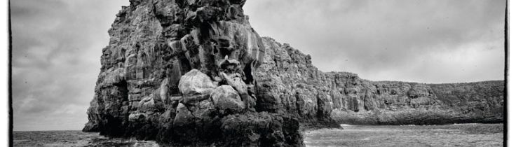 Galapagos – et levende hav Galapagos – et levende hav