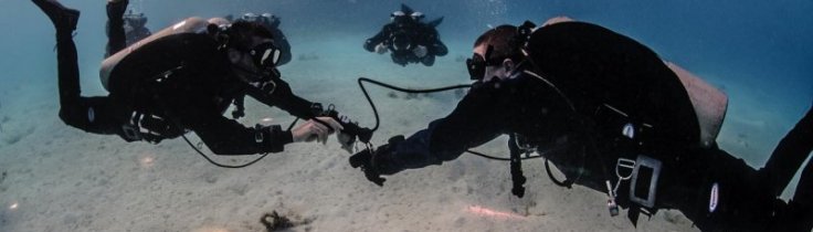 Fem ting, din instruktør ville ønske du havde gjort inden dit dykkerkursus