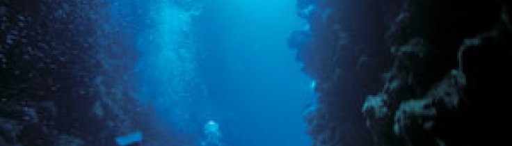 Dahab – Sinais guld