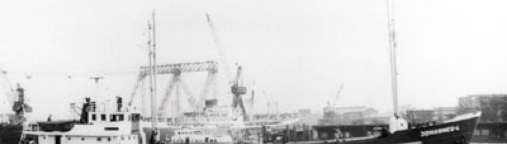 Johannes L – Vragleksikon #31