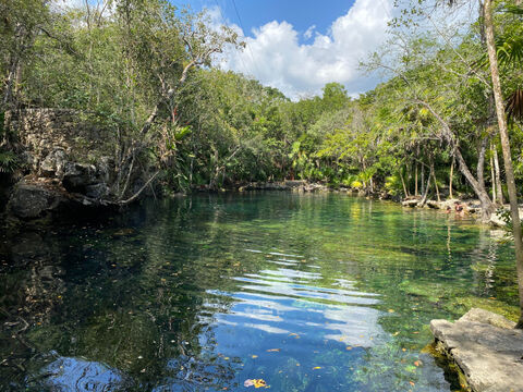 Mexikansk cenote. Foto: Torbjörn Gylleus