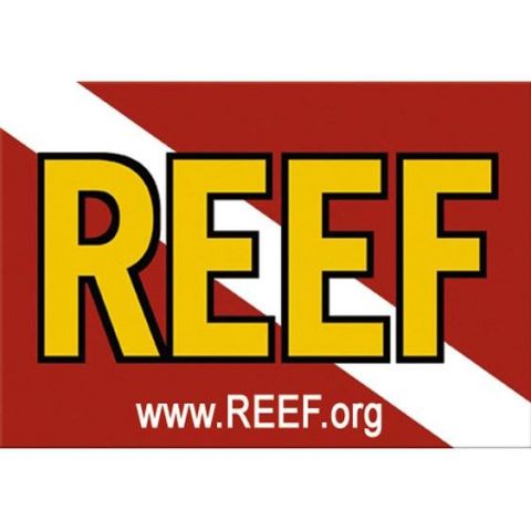 REEF Logo