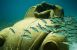 Undervandsmuseum i Mexico får nye skuplturer