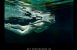 Waterlife undervands foto-kunstbog