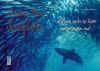 Sardine Run i Sydafrika – delfiner, suler og hajer sætter jagten ind
