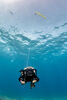 10 Spørgsmål – om rebreathers